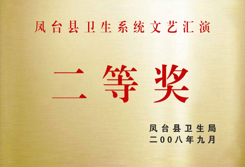 2008鳳臺(tái)縣衛(wèi)生系統(tǒng)文藝匯演二等獎(jiǎng)
