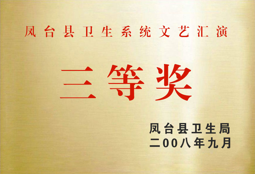 2008鳳臺(tái)縣衛(wèi)生系統(tǒng)文藝匯演