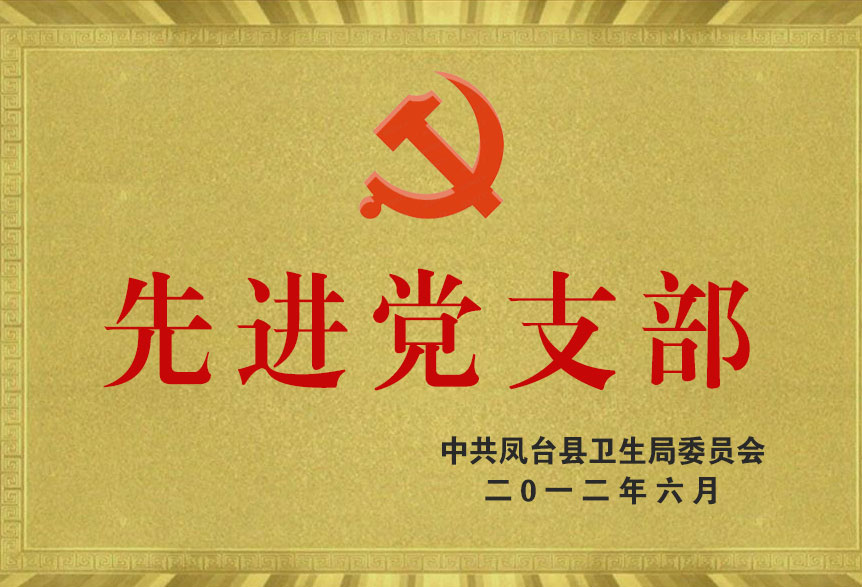 2012先進(jìn)黨支部