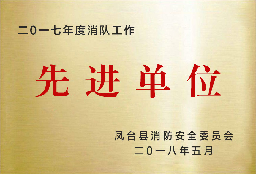 二0一七年度消隊(duì)工作先進(jìn)單位