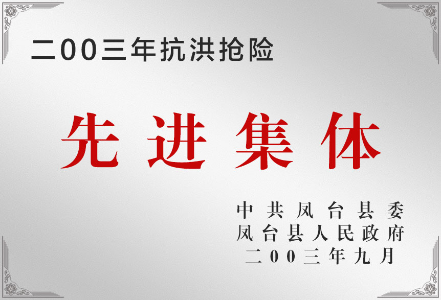 2003年搞洪搶險(xiǎn)先進(jìn)集體